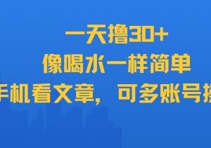 手机看文章赚收益副业分享 支持多账号操作单日可赚30+-雨叶虚拟资源网