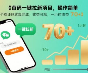 首码一键拉新项目详情介绍 操作简单单小时稳定收益70+-雨叶虚拟资源网
