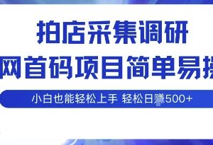 拍店采集调研首码项目操作指南 小白零门槛上手可多号增收-雨叶虚拟资源网
