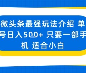 微头条无AI痕迹原创玩法 小白用单部手机操作单日可赚500+-雨叶虚拟资源网