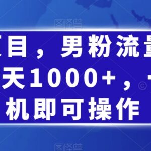 小红书男粉引流蓝海项目拆解 0成本单手机操作日引千粉附教程-雨叶虚拟资源网