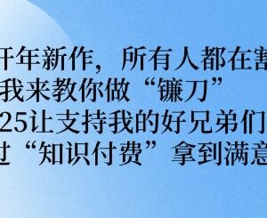 2025知识付费项目实操攻略 掌握互联网赚钱逻辑实现稳定增收-雨叶虚拟资源网