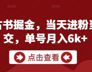 私域古书掘金项目实操攻略 无需出镜单号月入可达6k+-雨叶虚拟资源网