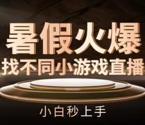 暑假热门找不同小游戏直播间玩法拆解 零基础小白可快速上手-雨叶虚拟资源网