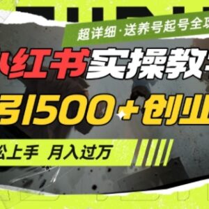 2025年2月小红书日引500+创业粉实操教程 附完整养号起号SOP-雨叶虚拟资源网