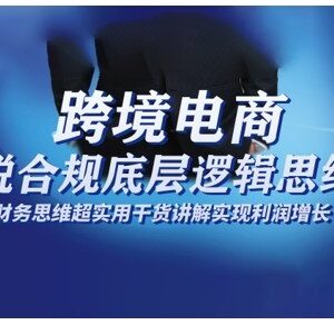 跨境电商财税合规底层逻辑课 搭建合规体系实现利润增长-雨叶虚拟资源网