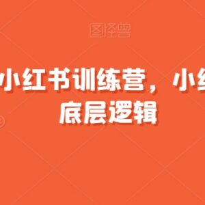 21天小红书爆款训练营 拆解内容起号与变现全流程底层逻辑-雨叶虚拟资源网