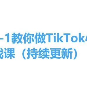 TikTok小店从0到1实操教程 全流程开店运营课程持续更新-雨叶虚拟资源网