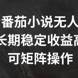 2024抖音番茄小说无人直播实操方法 可矩阵运营长期收益稳定-雨叶虚拟资源网