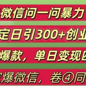 2024微信问一问引流玩法拆解 精准获创业粉实现高效变现-雨叶虚拟资源网