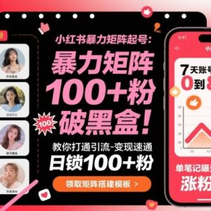 小红书矩阵起号引流变现全教程 破解流量规则高效涨粉转化-雨叶虚拟资源网