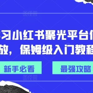 从0到1学小红书聚光平台信息流投放 保姆级入门实操教程-雨叶虚拟资源网