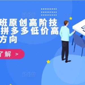 拼多多打爆班第39期高阶教程 低价高利店铺运营实操指南-雨叶虚拟资源网