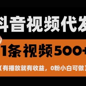 2024抖音快手零撸项目 无粉丝要求代发视频有播放即可变现-雨叶虚拟资源网