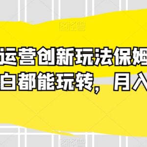 小红书运营创新玩法保姆级教学 新手可上手变现月入6000+-雨叶虚拟资源网