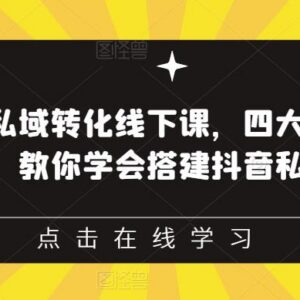 抖音引流私域转化线下课 四大系统13种模型教你搭建抖音私域体系-雨叶虚拟资源网