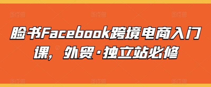 Facebook跨境电商入门实操课程 外贸独立站运营必修学习资料