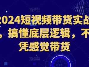 2024短视频带货实战教程 搞透核心底层逻辑告别凭感觉带货-雨叶虚拟资源网