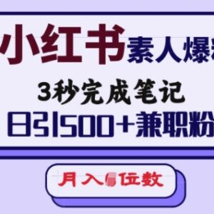 小红书素人笔记引流实操 日引500+兼职粉实现月入五位数-雨叶虚拟资源网