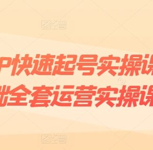 0基础短视频IP起号实操全课 爆款内容粉丝运营变现教程-雨叶虚拟资源网