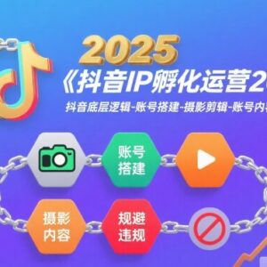 2025年抖音IP孵化运营教程 含底层逻辑账号搭建剪辑全流程-雨叶虚拟资源网