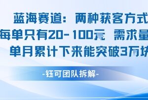 开学季蓝海赛道项目推荐 市场需求量大单月营收可突破3万-雨叶虚拟资源网