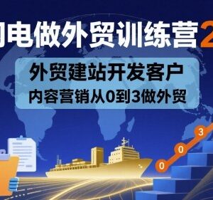 AI闪电做外贸训练营26期 外贸建站获客内容营销从0到3实操教程-雨叶虚拟资源网