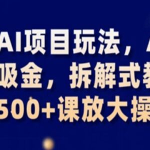 AI蓝海变现项目拆解教学 新手易上手可落地日入500+实操玩法-雨叶虚拟资源网