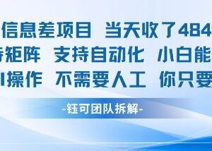 蓝海AI信息差副业项目拆解 小白可操作支持自动化当天获收益-雨叶虚拟资源网