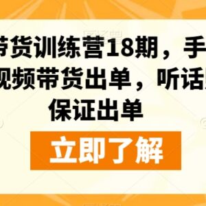短视频带货训练营18期系统教程 零基础手把手教你做号带货出单-雨叶虚拟资源网