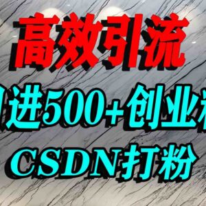 CSDN引流创业粉实操方法 单人单日可获取500+精准创业流量-雨叶虚拟资源网