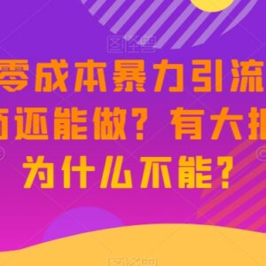 2023年微商还值得做吗 零成本新手私域引流玩法全解析-雨叶虚拟资源网