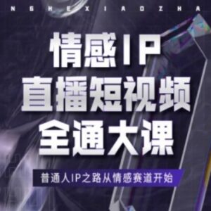 情感IP直播短视频运营全课程 普通人情感赛道IP打造实操指南-雨叶虚拟资源网