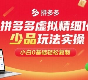 拼多多虚拟店精细化少品玩法实操 0基础小白也能轻松复制-雨叶虚拟资源网