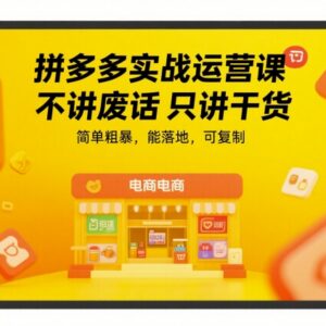 拼多多实战运营干货教程 可落地复制的店铺爆单实操课程-雨叶虚拟资源网