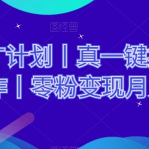 网剧推广无剪辑一键搬运玩法 零粉可做矩阵运营变现实操指南-雨叶虚拟资源网