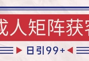 小红书抖音成人赛道引流获客 自热矩阵日引200+玩法揭秘-雨叶虚拟资源网