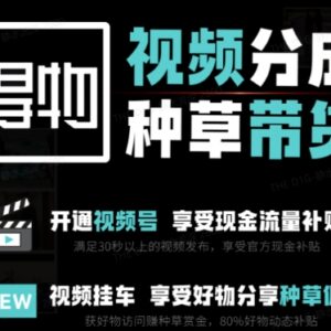 得物双通道副业项目玩法拆解 3-7天起号每月保底3k-5k收益-雨叶虚拟资源网