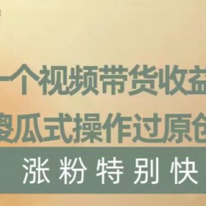 视频带货获上万收益实操方法 傻瓜式过原创快速涨粉技巧揭秘-雨叶虚拟资源网