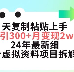 2024年小红书细分虚拟资料项目拆解 3天上手日引300+月入过万-雨叶虚拟资源网