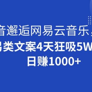 抖音搭配网易云音乐做文案号 4天涨粉5万的低门槛变现玩法-雨叶虚拟资源网