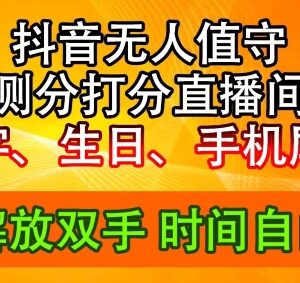 2024年抖音生日尾号打分测分无人直播撸音浪玩法详解-雨叶虚拟资源网