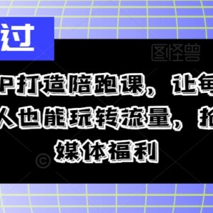 2024普通人逆袭IP打造陪跑课 抖音自媒体运营涨粉变现教程-雨叶虚拟资源网