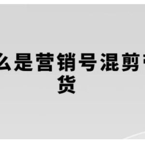 营销号混剪带货全流程教学 从内容创作到流量变现实操指南-雨叶虚拟资源网