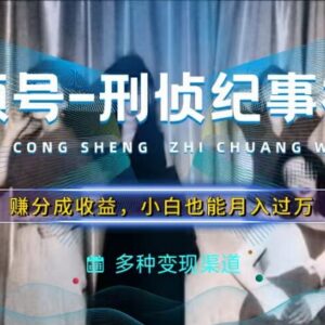 利用刑侦纪实视频做视频号分成计划 新手低门槛副业实操指南-雨叶虚拟资源网