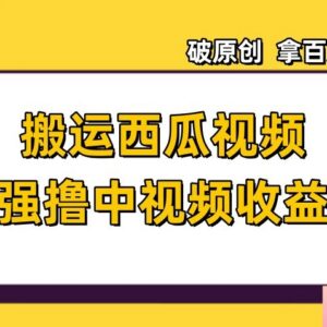 西瓜视频中视频计划搬运变现玩法 破原创获流量拿收益实操教程-雨叶虚拟资源网