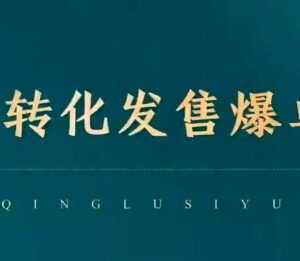 私域高转化发售爆单教程 全链路运营批量成交实操指南-雨叶虚拟资源网
