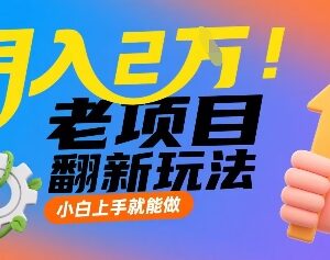 适合小白上手的老项目翻新玩法 低门槛耗时少长期可做月入可达2万-雨叶虚拟资源网