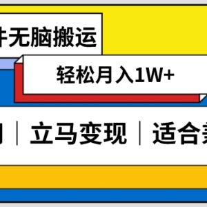 低密度视频搬运新赛道实操方法 零成本操作单账号日均收益数百-雨叶虚拟资源网