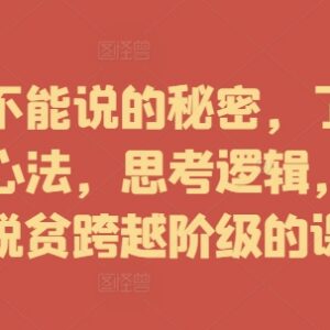富人赚钱心法与思考逻辑课程 掌握创富方法实现阶级跨越-雨叶虚拟资源网